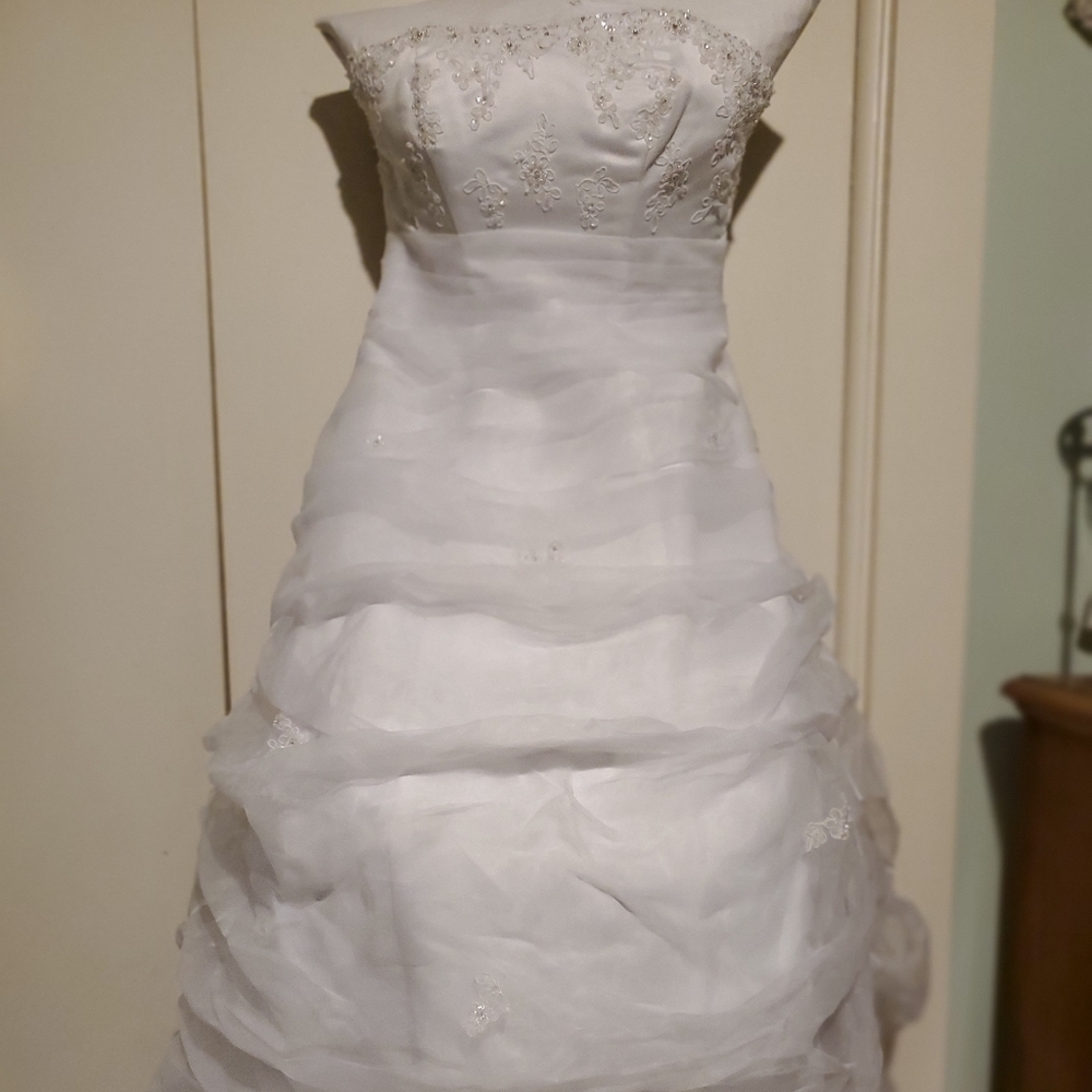 David's Bridal Wedding dress